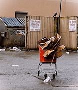 23rd Feb 2025 - Bird Disinterested, Forgotten Cart By Trash
