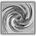 Tulip twirl by beryl