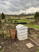 23rd Feb 2025 - Beehive