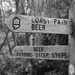 All roads lead to Beer! by plebster