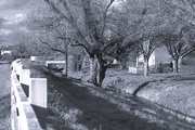 23rd Feb 2025 - For23 composition