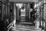 23rd Feb 2025 - Hallway