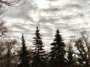 23rd Feb 2025 - Moody Winter Sky