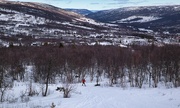 23rd Feb 2025 - In the mountains
