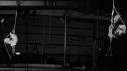 23rd Feb 2025 - Light