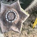 Star shaped