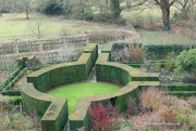 19th Feb 2025 - Gold Star Hedge Trimming