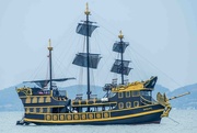24th Feb 2025 - Admirallica