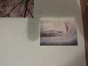 23rd Feb 2025 - this was the snake in the folder