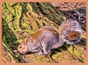 24th Feb 2025 - Lunchtime