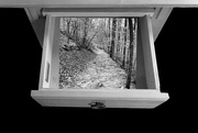 24th Feb 2025 - In the Drawer