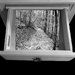 In the Drawer by k9photo