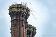 11th Feb 2025 - Old Chimney