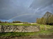 24th Feb 2025 - Rainbow 