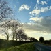 Some Sun by carole_sandford