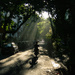A motorcycle under the street canopy by stefanotrezzi
