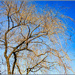 Blue Skies and Warmer Weather by hjbenson