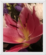 25th Feb 2025 - A LILY FROM MY BOUQUET 