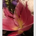 A LILY FROM MY BOUQUET 