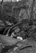 24th Feb 2025 - Raven Cliffs