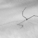 lines