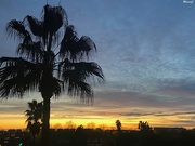 25th Feb 2025 - Good morning!