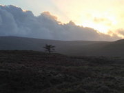 25th Feb 2025 - last of the sun