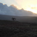 last of the sun