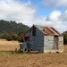 Bungendore beauty by jeneurell