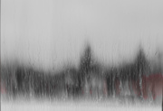 25th Feb 2025 - Rainy day outside the classroom
