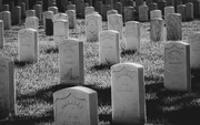 23rd Feb 2025 - Baton Rouge National Cemetery