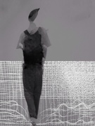 25th Feb 2025 - Crossing the lines 