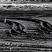 Sandmark 