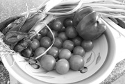26th Feb 2025 - Today's pickings