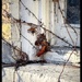 The Corner Window