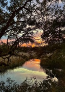 25th Feb 2025 - Marsh and tidal creek sunset