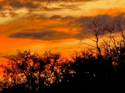 25th Feb 2025 - Sunset last night