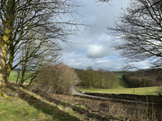 25th Feb 2025 - Dales