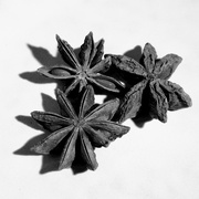 26th Feb 2025 - Star Anise 2015481