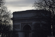 18th Feb 2025 - Arc de Triomphe & trees