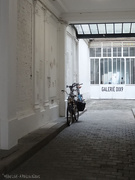 19th Feb 2025 - Galerie dix9