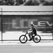 More panning by nannasgotitgoingon