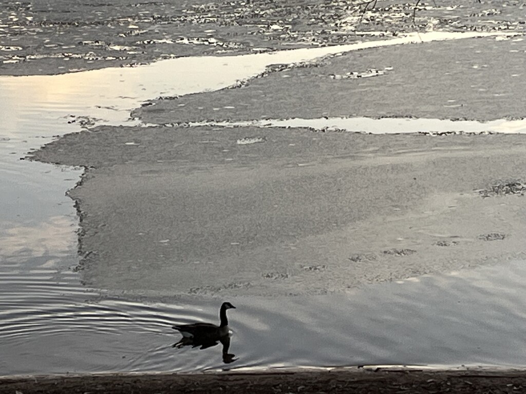 Floating by ice by bfast
