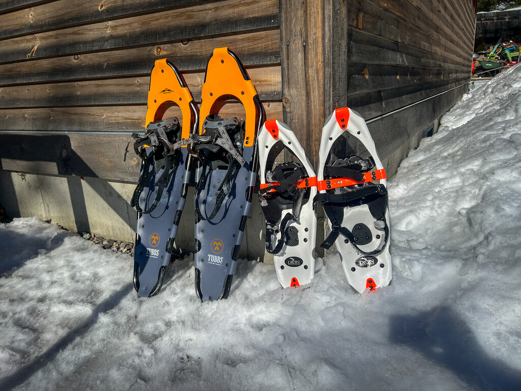 Feb 21 - Snowshoes by mikedaub