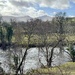 Taken on our Walk Yesterday by susiemc