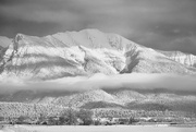 26th Feb 2025 - Fog Bank - FOR2025