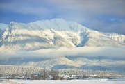 26th Feb 2025 - Fog Bank - Color version 