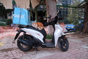 18th Feb 2025 - Delivery?