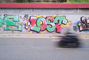 17th Feb 2025 - Lost