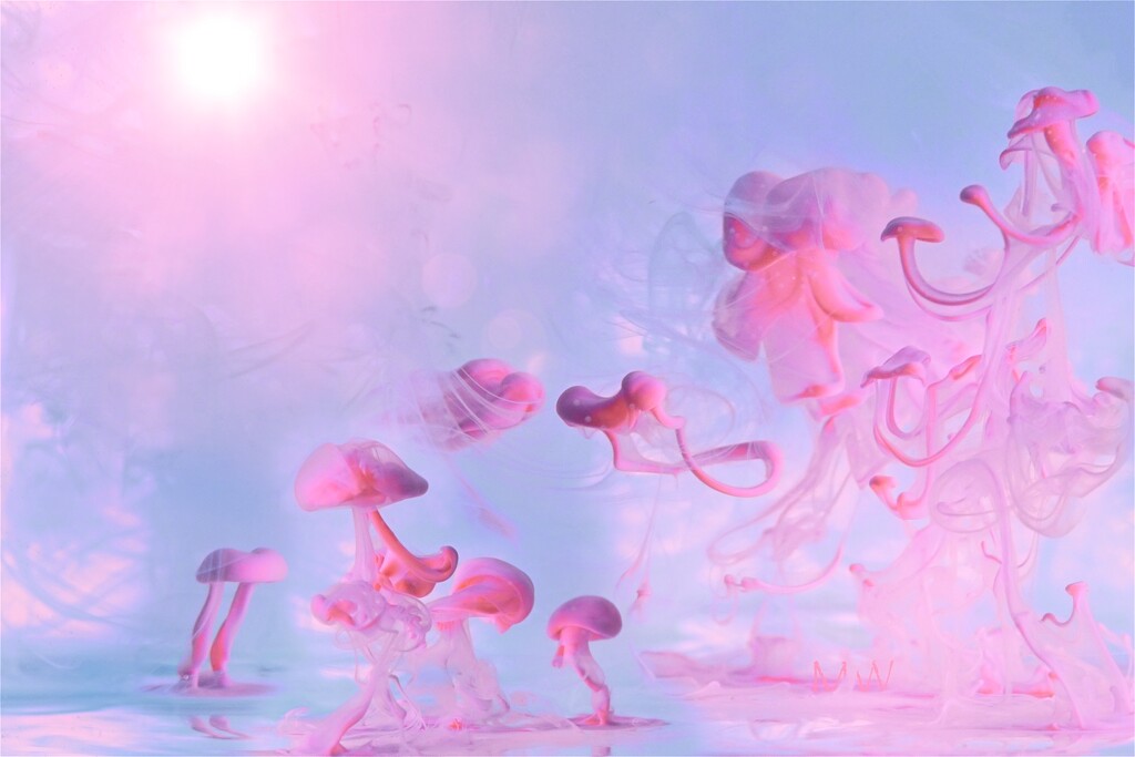 2025-02-26 nautical fungi by mona65